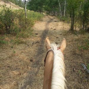 Meet your Posher, Nichole